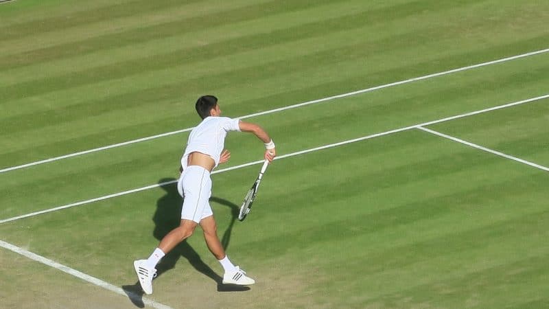 Tennis : portrait de Novak Djokovic